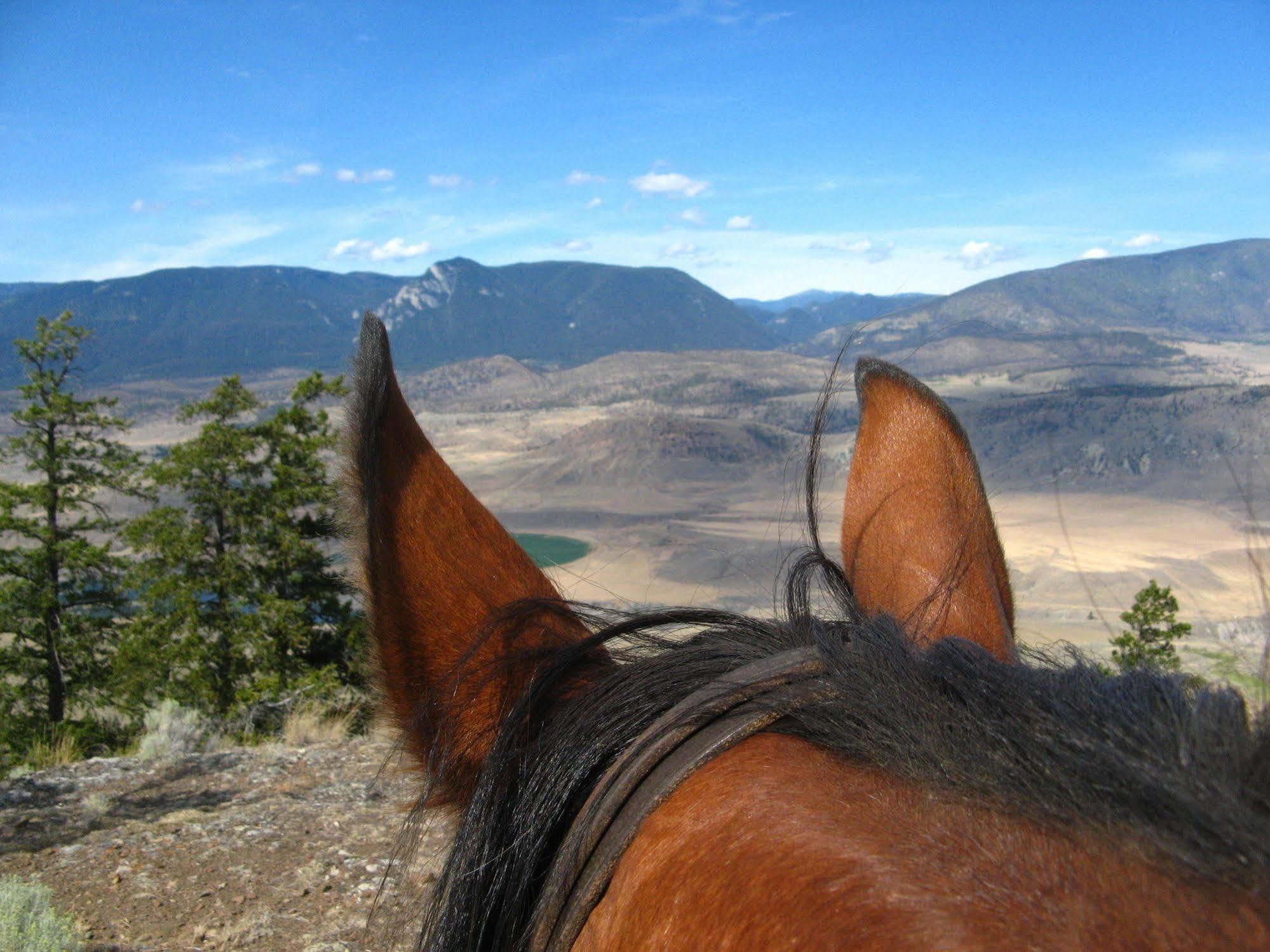 Sundance Guest Ranch Βίλα Ashcroft Εξωτερικό φωτογραφία