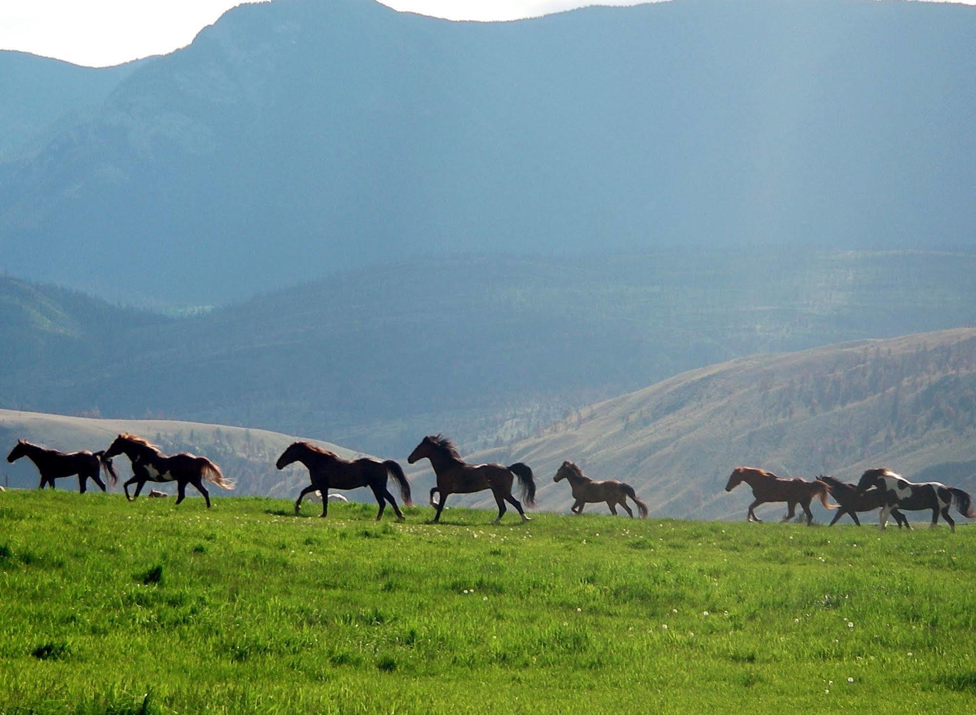 Sundance Guest Ranch Βίλα Ashcroft Εξωτερικό φωτογραφία