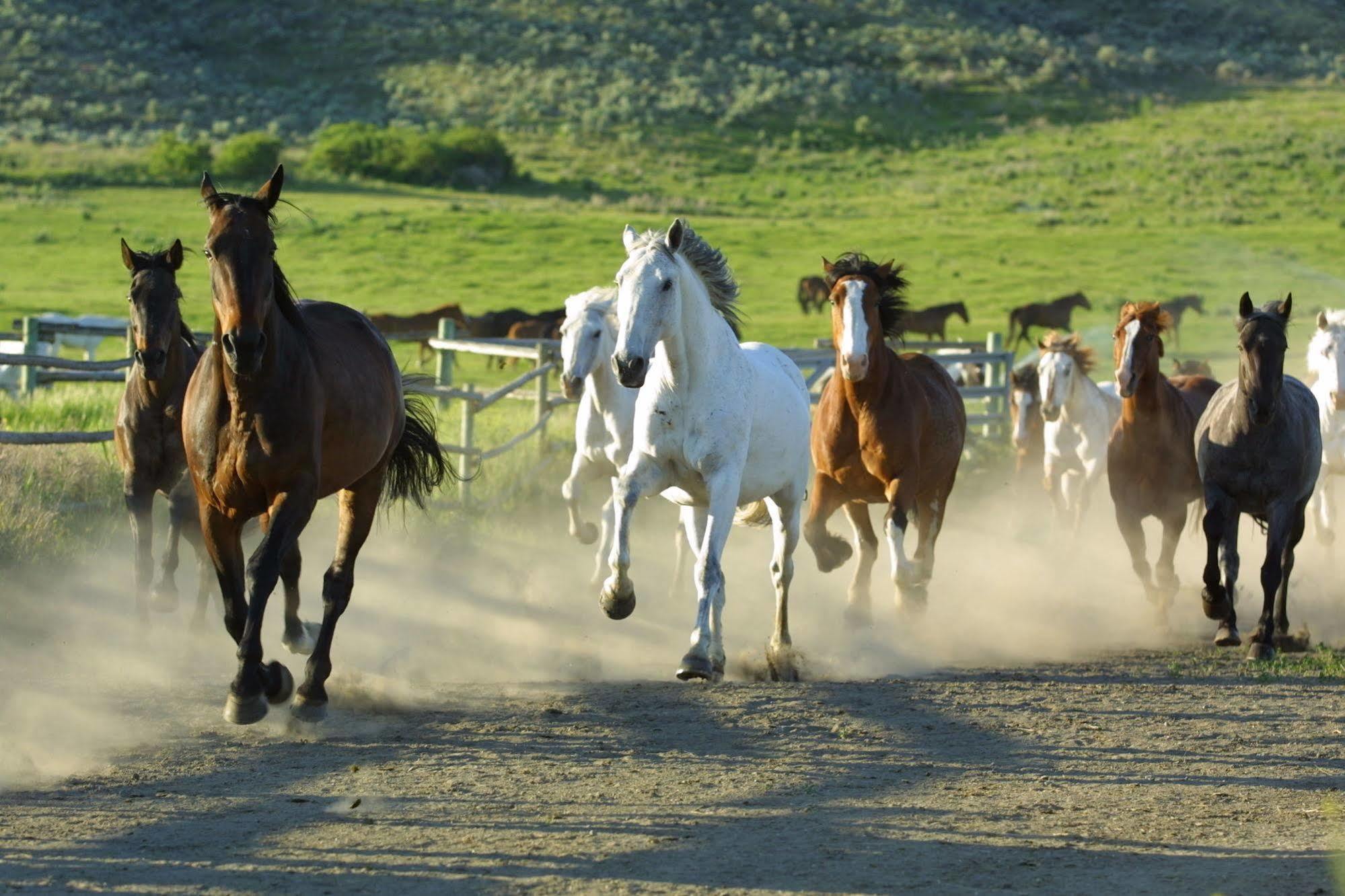 Sundance Guest Ranch Βίλα Ashcroft Εξωτερικό φωτογραφία